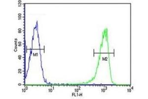 RANKL antibody flow cytometric analysis of HL-60 cells (right histogram) compared to a negative control (left histogram).