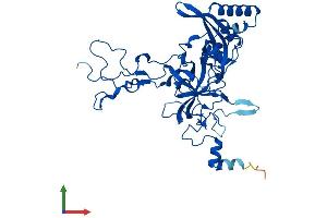 AlphaFold protein structure predicition of Human Recombinant RPL3L Protein, UniprotID Q92901