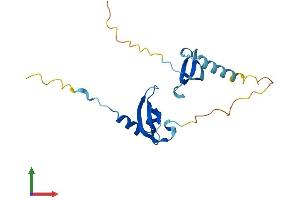 AlphaFold protein structure predicition of Mouse Recombinant Cbx1 Protein, UniprotID P83917