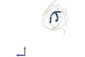 AlphaFold protein structure predicition of Mouse Recombinant Krt2 Protein, UniprotID Q3TTY5