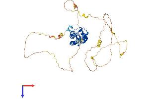 AlphaFold protein structure predicition of Human Recombinant SMAP2 Protein, UniprotID Q8WU79