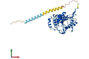AlphaFold protein structure predicition of Mouse Recombinant B4galt4 Protein, UniprotID Q9JJ04