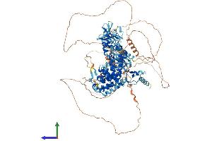AlphaFold protein structure predicition of Mouse Recombinant Plekhm1 Protein, UniprotID Q7TSI1