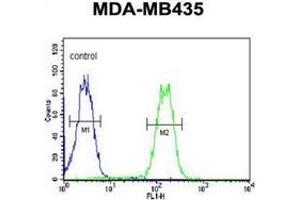 Flow cytometric analysis of MDA-MB435 cells using LYRM4 Antibody (Center) Cat.
