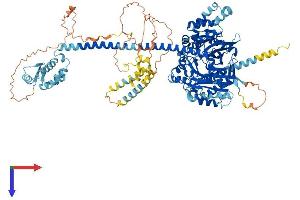 AlphaFold protein structure predicition of Human Recombinant IQCH Protein, UniprotID Q86VS3