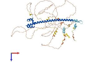AlphaFold protein structure predicition of Mouse Recombinant Nfe2l3 Protein, UniprotID Q9WTM4