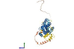 AlphaFold protein structure predicition of Human Recombinant RHBDL1 Protein, UniprotID O75783