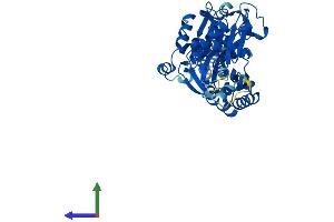 AlphaFold protein structure predicition of Mouse Recombinant Entpd8 Protein, UniprotID Q8K0L2