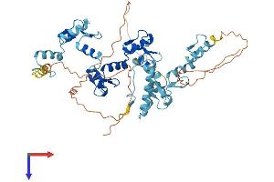 Zinc Finger Protein 649 (ZNF649) (AA 1-505) protein (His tag)