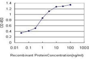 Detection limit for recombinant GST tagged PALM is approximately 0.