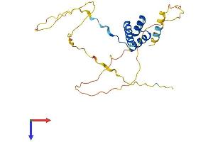 AlphaFold protein structure predicition of Mouse Recombinant Mixl1 Protein, UniprotID Q9WUI0