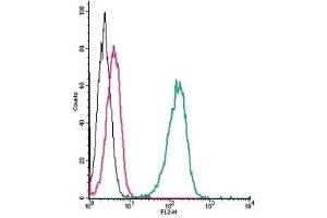 Cell surface detection of β2-Adrenergic Receptor by direct flow cytometry in live intact human THP-1 monocytic leukemia cells: (black line) Cells.