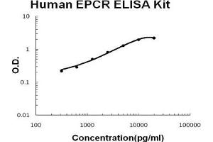 Human EPCR PicoKine ELISA Kit standard curve