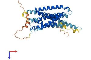 AlphaFold protein structure predicition of Mouse Recombinant Mc4r Protein, UniprotID P56450