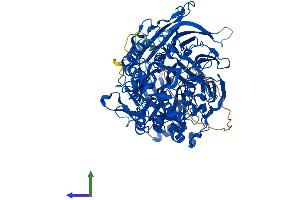 AlphaFold protein structure predicition of Mouse Recombinant Dpp8 Protein, UniprotID Q80YA7