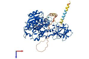 AlphaFold protein structure predicition of Mouse Recombinant Galnt7 Protein, UniprotID Q80VA0