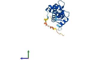 AlphaFold protein structure predicition of Mouse Recombinant Cetn1 Protein, UniprotID P41209