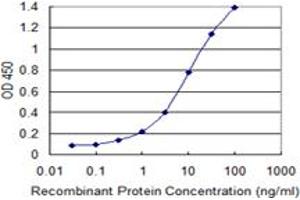 Detection limit for recombinant GST tagged BCL2L10 is 0. (BCL2L10 anticorps  (AA 1-92))