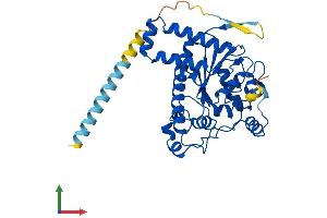 AlphaFold protein structure predicition of Human Recombinant TPST1 Protein, UniprotID O60507