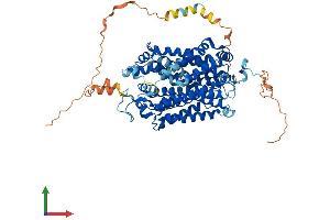 AlphaFold protein structure predicition of Mouse Recombinant Slc6a9 Protein, UniprotID P28571