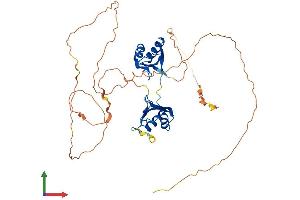 AlphaFold protein structure predicition of Human Recombinant RBMS3 Protein, UniprotID Q6XE24