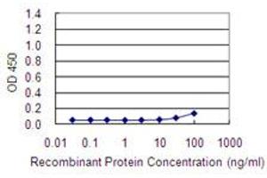 Detection limit for recombinant GST tagged ACTR3 is 10 ng/ml as a capture antibody. (ACTR3 anticorps  (AA 1-418))