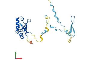 AlphaFold protein structure predicition of Mouse Recombinant Rcan2 Protein, UniprotID Q9JHG2