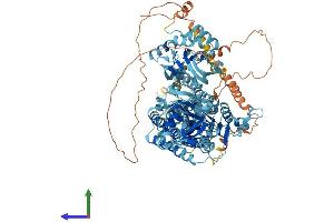 AlphaFold protein structure predicition of Mouse Recombinant Atp2b2 Protein, UniprotID Q9R0K7