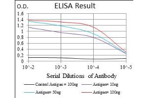 Fig. (CD15 anticorps  (AA 199-302))
