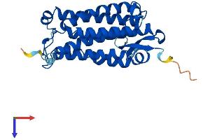 AlphaFold protein structure predicition of Mouse Recombinant Acer2 Protein, UniprotID Q8VD53
