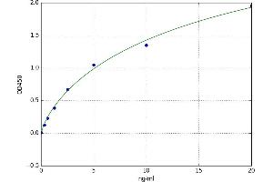 Ubiquitin Protein Ligase E3A (ube3a) ELISA Kit