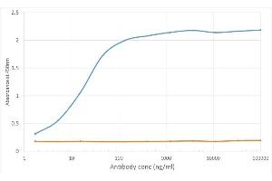ELISA of anti-VISTA antibody on VISTA-Fc fusion protein.