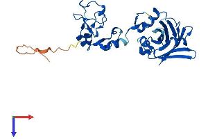 AlphaFold protein structure predicition of Mouse Recombinant Siah1a Protein, UniprotID P61092