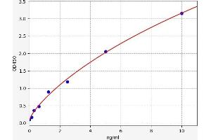 Typical standard curve (HOGA1 Kit ELISA)