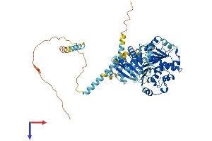 AlphaFold protein structure predicition of Human Recombinant DDX41 Protein, UniprotID Q9UJV9