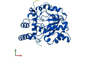 AlphaFold protein structure predicition of Mouse Recombinant Sult1a1 Protein, UniprotID P52840
