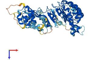 AlphaFold protein structure predicition of Mouse Recombinant Lrrc14 Protein, UniprotID Q8VC16