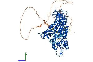 AlphaFold protein structure predicition of Human Recombinant GPHN Protein, UniprotID Q9NQX3