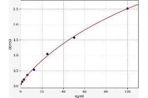 Serpin Family H Member 1 (SERPINH1) ELISA Kit