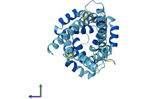 AlphaFold protein structure predicition of Mouse Recombinant Slc25a35 Protein, UniprotID Q5SWT3