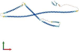 AlphaFold protein structure predicition of Human Recombinant CEP55 Protein, UniprotID Q53EZ4