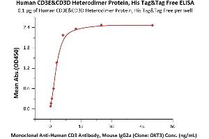 CD3D & CD3E (AA 23-126) (Active) protein (His tag)