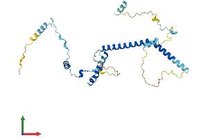 AlphaFold protein structure predicition of Mouse Recombinant Ebna1bp2 Protein, UniprotID Q9D903