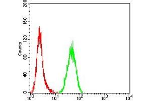 Flow cytometric analysis of Hela cells using TIA1 mouse mAb (green) and negative control (red). (TIA1 anticorps  (AA 1-215))
