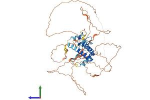 AlphaFold protein structure predicition of Mouse Recombinant Tesmin Protein, UniprotID Q9WTJ6