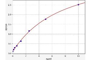 Typical standard curve (RAP1A Kit ELISA)