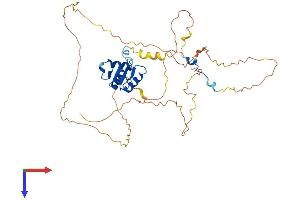 AlphaFold protein structure predicition of Human Recombinant ELK3 Protein, UniprotID P41970