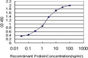 Detection limit for recombinant GST tagged NRBP2 is approximately 0.