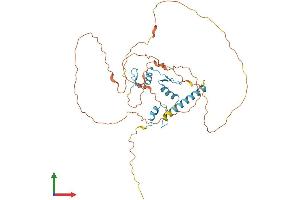 AlphaFold protein structure predicition of Human Recombinant KLF17 Protein, UniprotID Q5JT82