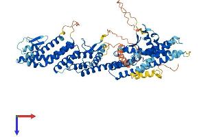 AlphaFold protein structure predicition of Mouse Recombinant Tubgcp4 Protein, UniprotID Q9D4F8
